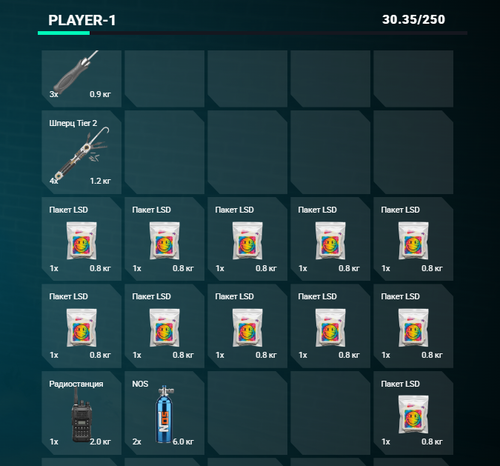 FiveM GTAProcess WmP8EQMFpn.png