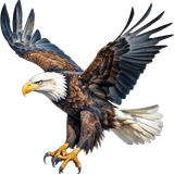 58fcff3a54a72225fb097cf453d818b3 pixian ai