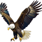 76ec7c3f85afaddd1fcaacc3fc81a712 pixian ai