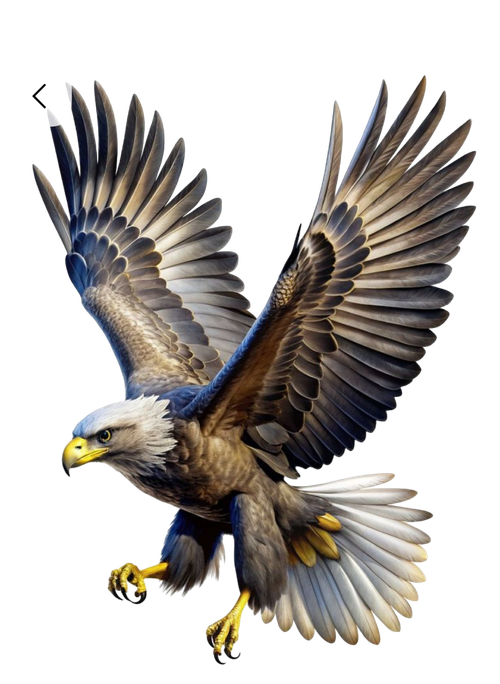 41ef9aafebd08d601398483015ee1ae8 pixian ai.png