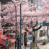 ### **ULTIMATE HYPER DETAILED 202604012232