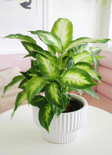 834559b2 db24 49bc 8be3 d78707a64e3d.jpg