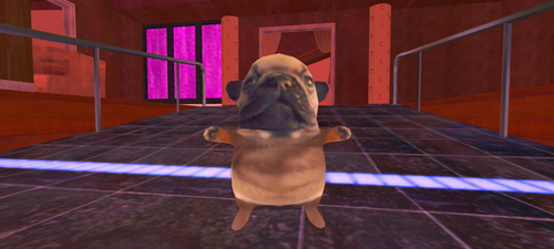 imagen.png