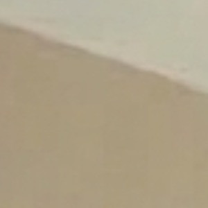 crop.jpg