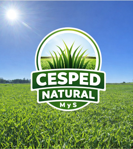 Captura de pantalla 2026 04 02 a la(s) 17.46.29.jpg