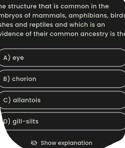 temp.png