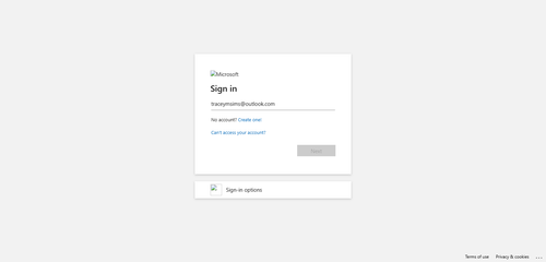 2026 04 02T17 11 27 385Z OFFICE email entered password.png