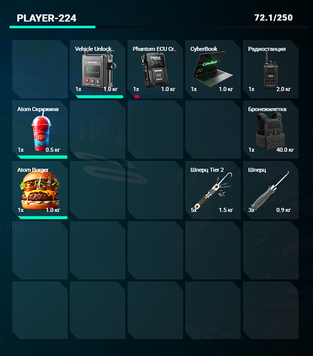 FiveM GTAProcess 3NFZr6vnug.png