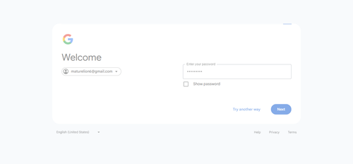 2026 04 02T16 37 20 118Z GOOGLE password entered.png