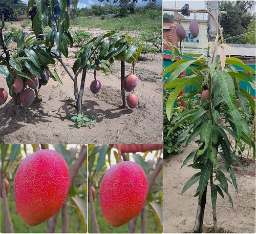 91C4vGS2J1L. AC UF1000,1000 QL80 .jpg