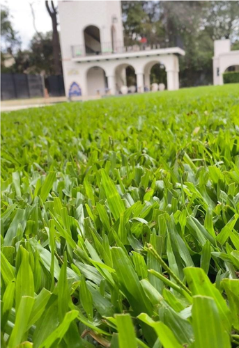 Captura de pantalla 2026 04 02 a la(s) 15.36.25.png