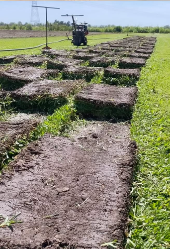 Captura de pantalla 2026 04 02 a la(s) 15.35.52.png