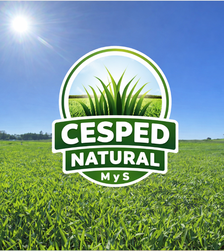 Captura de pantalla 2026 04 02 a la(s) 12.51.39.png