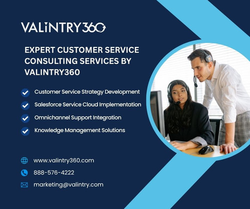 Expert Customer Service Consulting Services by VALiNTRY360.jpg