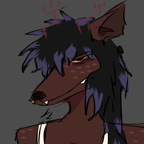 IMG 8624.png