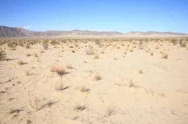 heart mojave desert california usa 260nw 1897204771.jpg