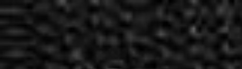 crop.jpg