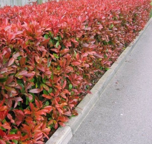 Captura de pantalla 2026 04 02 a la(s) 16.34.50.png