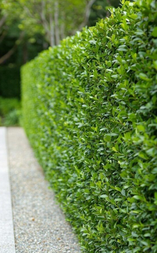 Captura de pantalla 2026 04 02 a la(s) 16.32.49.png