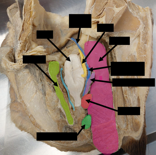 45a84befe173.png