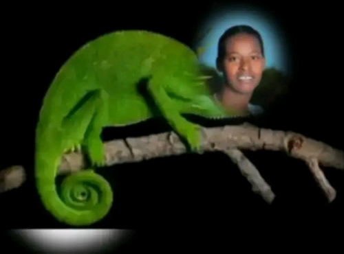 temp.png