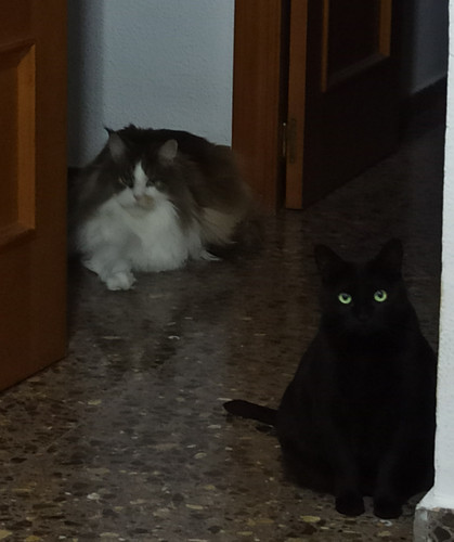 IMG 20260402 210224.jpg