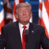 yes trump.gif
