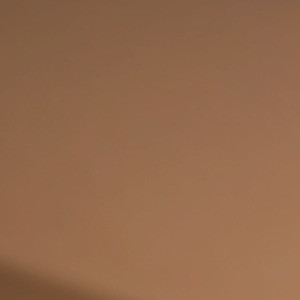 crop.jpg