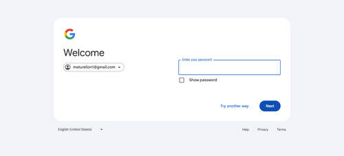 2026 04 02T22 26 26 313Z GOOGLE email entered unknown.png