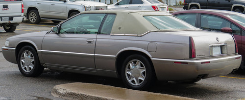 1995 .jpg