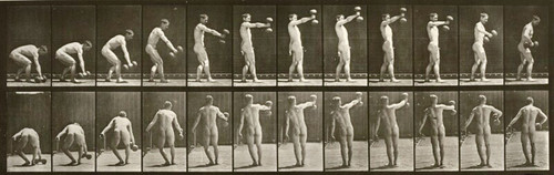 bcc4ccb6d121.jpg