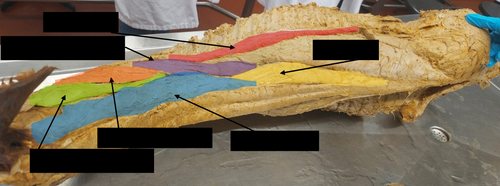ae24a963d52c.png