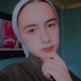 temp.png