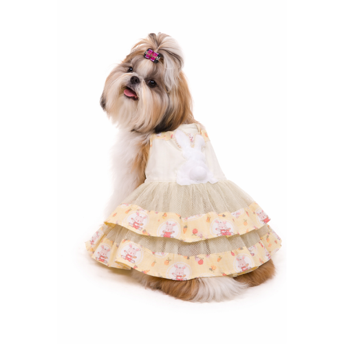Shih Tzu usando vestido de páscoa (1).png