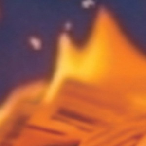 crop.jpg