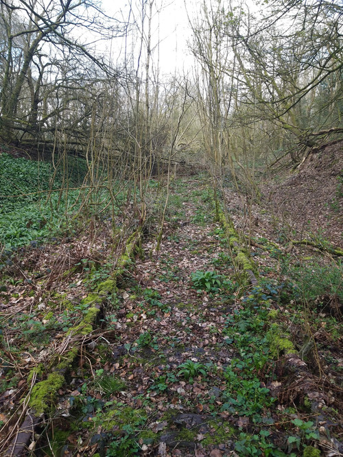 f71aab47 ac04 49b9 9664 19a6400dda79.jpg