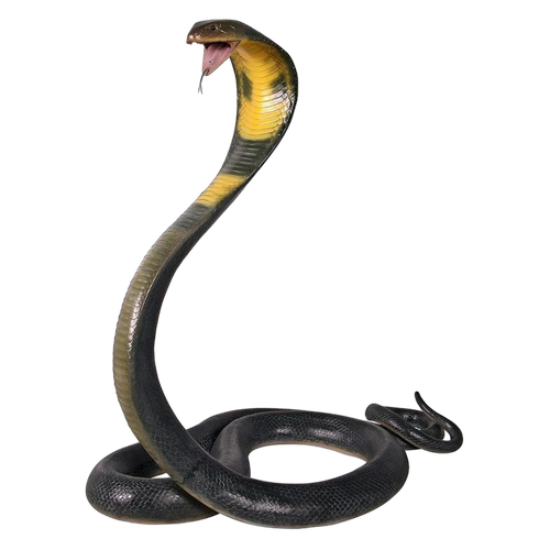 63f8384931cdb2b8fb42dc1dae89d8e5 pixian ai.png