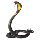 63f8384931cdb2b8fb42dc1dae89d8e5 pixian ai