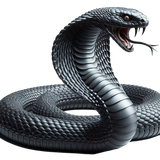 7d0b34bd1c7ab8c7ab3b3d92aa429184 pixian ai