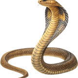 53a7c6f3161886d5cbb2e3cdab6ee0c6 pixian ai