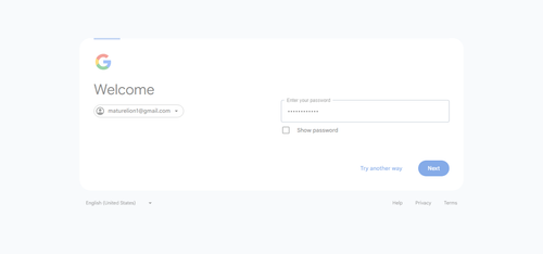 2026 04 02T16 08 55 329Z GOOGLE password entered.png