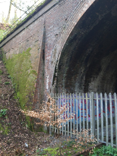 d21d23b0 d349 4f4e a195 df8321bafde5.jpg