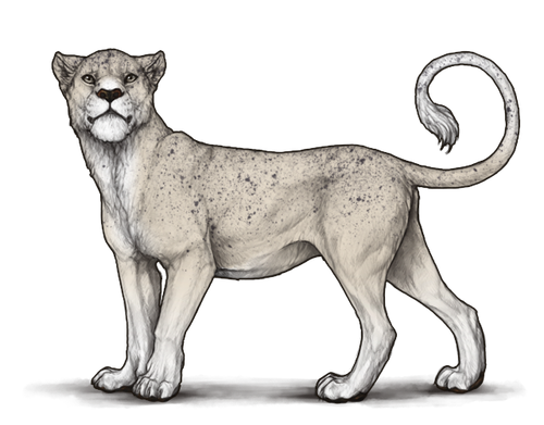 Cimmerian.png