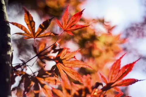 97a53ec1e091.webp