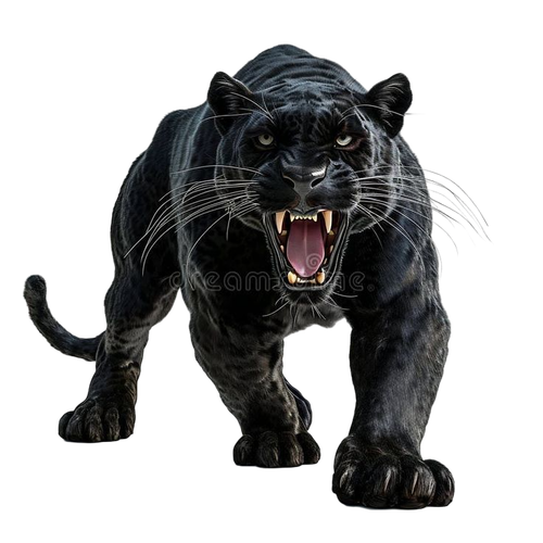 eb8d3f328e470e32b2fcd5c94c8585bf pixian ai.png