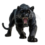 eb8d3f328e470e32b2fcd5c94c8585bf pixian ai