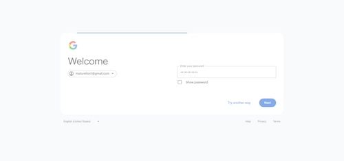 2026 04 02T16 16 40 448Z GOOGLE password entered.png