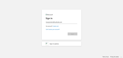 2026 04 02T16 18 42 647Z OFFICE email entered password.png