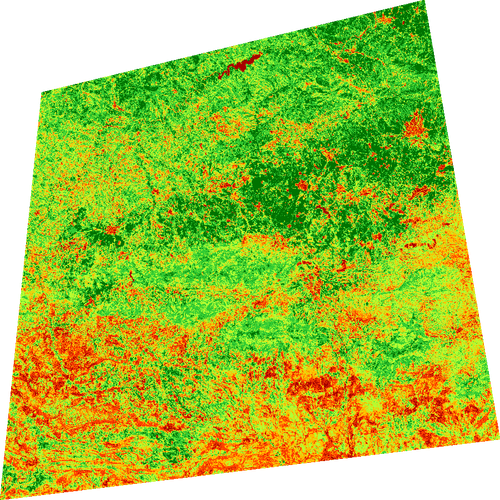 ndvi 1778433026148.png