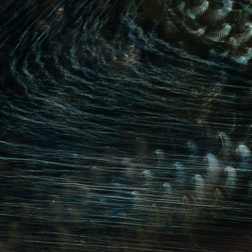 Cathedrals For Returning Vultures.png